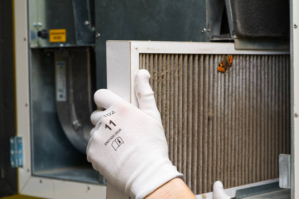 Air Quality Test in Telford, TN