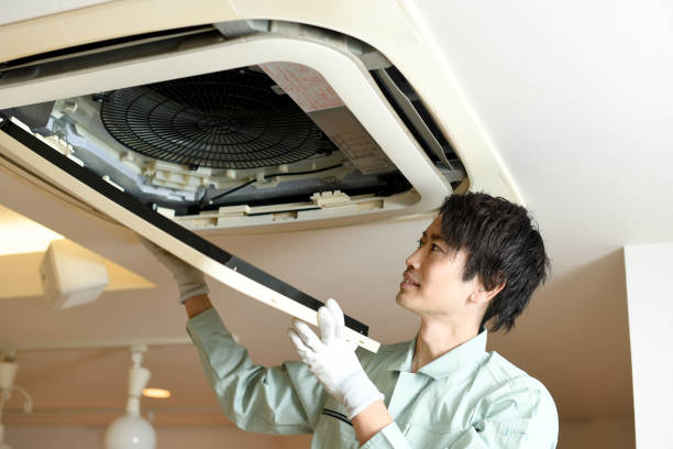 Best Professional Duct Cleaning Services  in Telford, TN